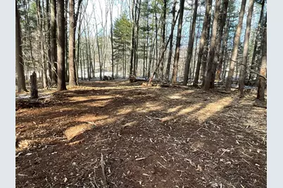 A.3 70th Street & 111th Avenue, South Haven, MI 49090 - Photo 4