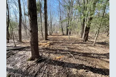 D.2 70th Street, South Haven, MI 49090 - Photo 4