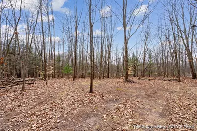 Parcel A Nestrom Road, Whitehall, MI 49461 - Photo 28