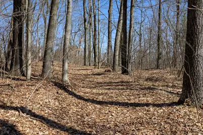 14714 Myers Lake Parcel A Road NE, Cedar Springs, MI 49319 - Photo 18