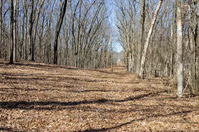 C 14714 Myers Lake Parcel Road NE, Cedar Springs, MI 49319 - Photo 14