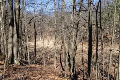 C 14714 Myers Lake Parcel Road NE, Cedar Springs, MI 49319 - Photo 16