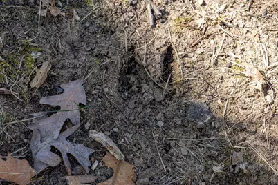 D 14714 Myers Lake Avenue NE, Cedar Springs, MI 49319 - Photo 1