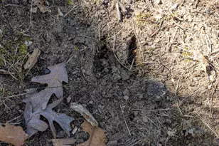 D 14714 Myers Lake Ave NE, Cedar Springs, MI 49319 - Photo 1