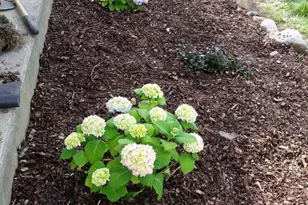 6127 Brooklyn Rd, Jackson, MI 49201 - Photo 68