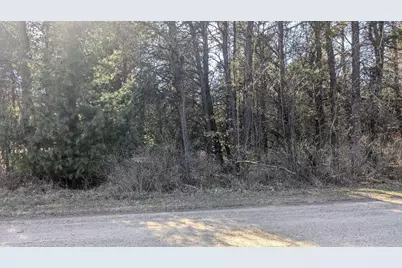 0 Tenth Street, Bear Lake, MI 49614 - Photo 4