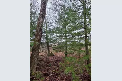 0 V/L Hunters Way, White Cloud, MI 49349 - Photo 10