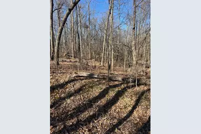 Parcel A W County Line Road, Greenville, MI 48838 - Photo 12