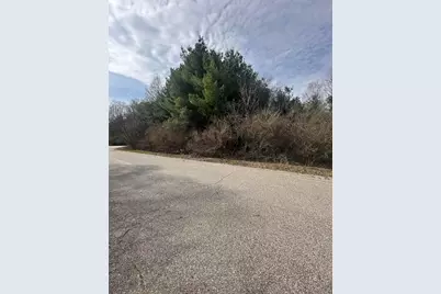 V/L-1 White Pine Drive, Hart, MI 49420 - Photo 2