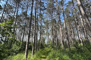 2254 E-M30, Alger, MI 48610 - Photo 62