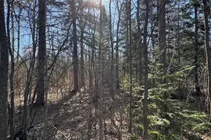 2254 E-M30, Alger, MI 48610 - Photo 28