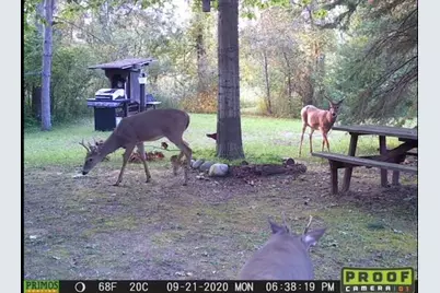 2254 E-M30, Alger, MI 48610 - Photo 78