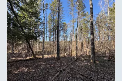 2254 E-M30, Alger, MI 48610 - Photo 46