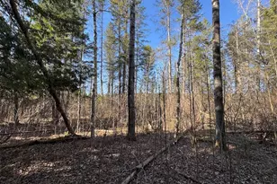 2254 E-M30, Alger, MI 48610 - Photo 46