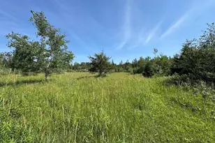 2254 E-M30, Alger, MI 48610 - Photo 56