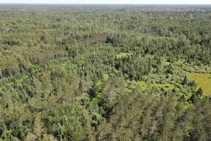 2254 E-M30, Alger, MI 48610 - Photo 20