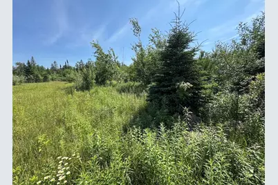 2254 E-M30, Alger, MI 48610 - Photo 58