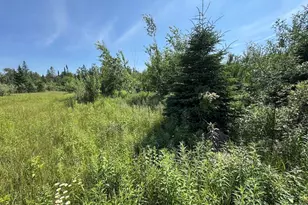 2254 E-M30, Alger, MI 48610 - Photo 58