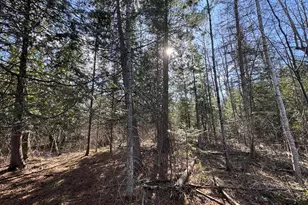 2254 E-M30, Alger, MI 48610 - Photo 34