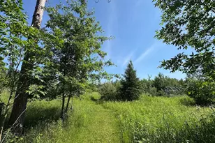 2254 E-M30, Alger, MI 48610 - Photo 54