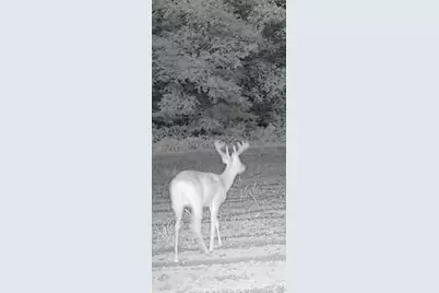 00000 Cr 673, Lawrence, MI 49064 - Photo 10