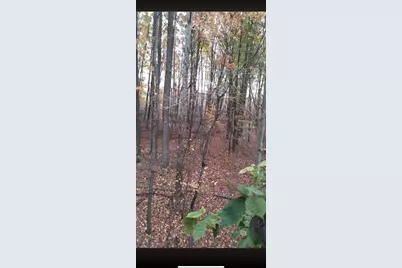 00000 Cr 673, Lawrence, MI 49064 - Photo 4