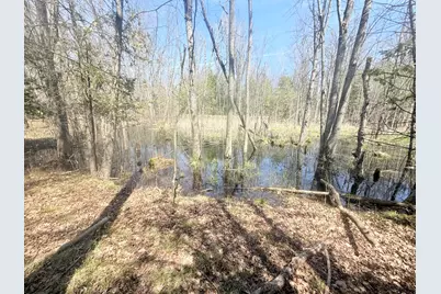 17639 N 20th Avenue, Marion, MI 49665 - Photo 8