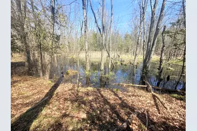 17639 N 20th Avenue, Marion, MI 49665 - Photo 14