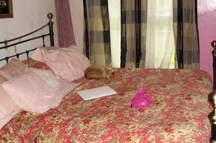 711 N Eaton St, Albion, MI 49224 - Photo 4