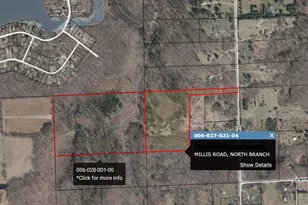 4991 Millis Rd, North Branch, MI 48461 - Photo 44