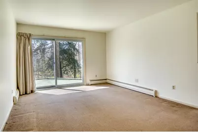 20425 Thornapple Lane, Big Rapids, MI 49307 - Photo 34