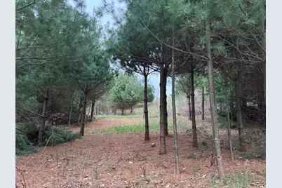 264 30th Avenue, Sears, MI 49679 - Photo 16