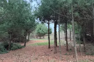 264 30th Ave, Sears, MI 49679 - Photo 16