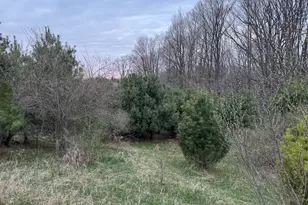 264 30th Ave, Sears, MI 49679 - Photo 10