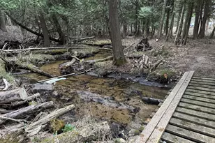 264 30th Ave, Sears, MI 49679 - Photo 26