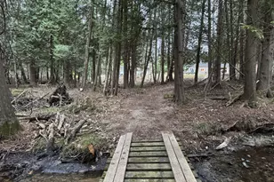 264 30th Ave, Sears, MI 49679 - Photo 28