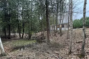 264 30th Ave, Sears, MI 49679 - Photo 72