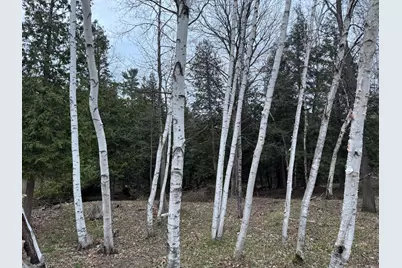 264 30th Avenue, Sears, MI 49679 - Photo 20