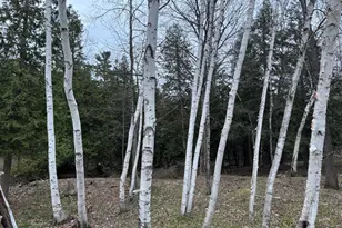 264 30th Ave, Sears, MI 49679 - Photo 20