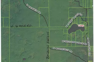 13460 Baldwin Dr, Bitely, MI 49309 - Photo 1