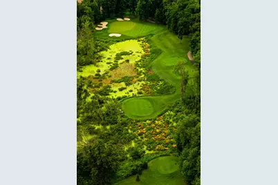 61809 Stonegate, Island Hills Gc Drive, Centreville, MI 49032 - Photo 6