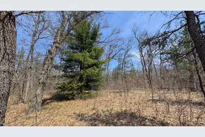 V/L Free Soil, Free Soil, MI 49411 - Photo 16