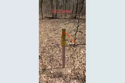 V/L Free Soil, Free Soil, MI 49411 - Photo 10