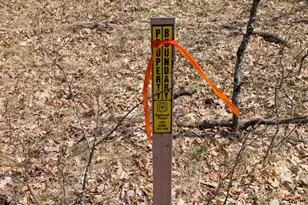 V/L Free Soil, Free Soil, MI 49411 - Photo 10