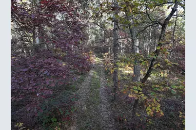 V/L Free Soil, Free Soil, MI 49411 - Photo 20