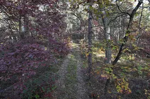 V/L Free Soil, Free Soil, MI 49411 - Photo 20