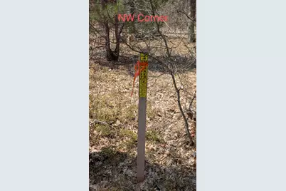 V/L Free Soil, Free Soil, MI 49411 - Photo 12