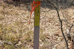 V/L Free Soil, Free Soil, MI 49411 - Photo 12