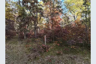 V/L Free Soil, Free Soil, MI 49411 - Photo 22