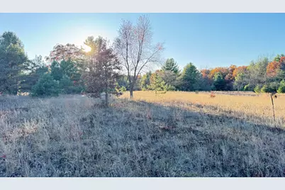 12.86Ac Barberry Avenue, Newaygo, MI 49337 - Photo 8